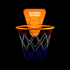 Dribble Dream wall mounted hoop with orange backboard and net